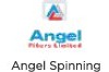 Angel Spinning